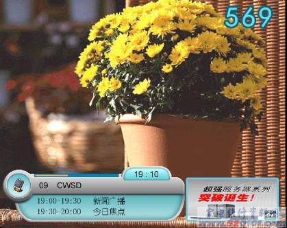 点击放大
