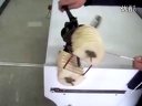 电动机 绕组嵌线4
